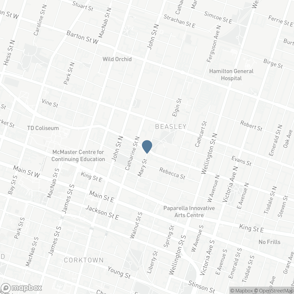 103 MARY Street, Hamilton, Ontario L8R 1K1